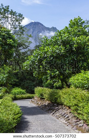 Similar – Image, Stock Photo Fog Impressions Wellness