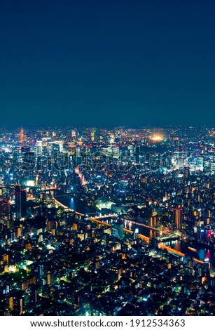 Tokyo, Japan cityscape view from high above