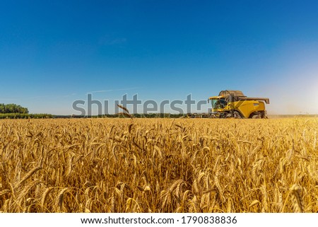 a field of wheat with a passing combine truck in the background