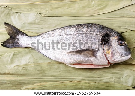 Raw uncooked fresh gutted sea bream or dorado on bamboo leaves. Flat lay, copy space. Cooking concept. Square image