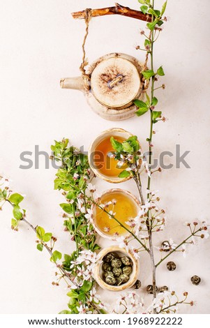 Branches of blossoming cherry tree with homemade ceramic teapot and green tea over white texture background. Top view, flat lay. Creative layout