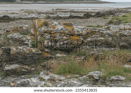 Similar – Image, Stock Photo Remote rocky seaside at bright sunset