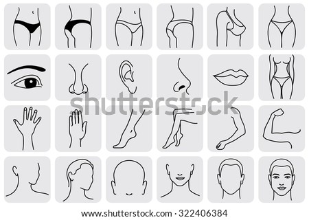 human body parts icons plastic face surgery, medical vector icons. Body sculpting system  