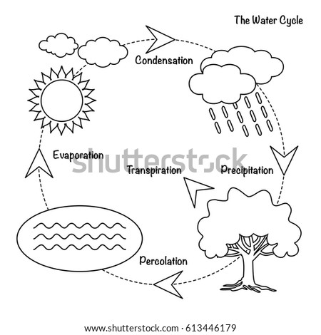 Water Cycle Block Diagram Choice Image - How To Guide And 