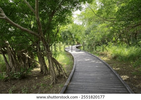 Similar – Image, Stock Photo Wooden path leading through the swamp and forest in a natural park