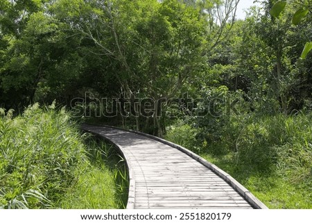 Similar – Image, Stock Photo Wooden path leading through the swamp and forest in a natural park