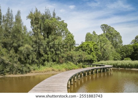 Similar – Image, Stock Photo Wooden path leading through the swamp and forest in a natural park