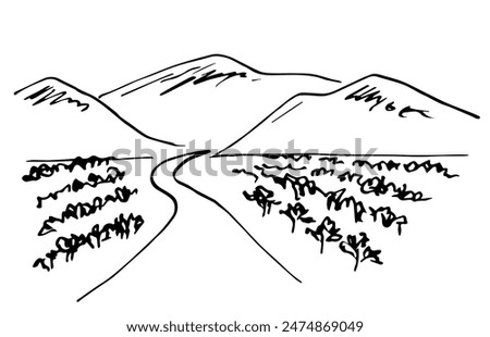 Similar – Image, Stock Photo Way to the vineyards with tree