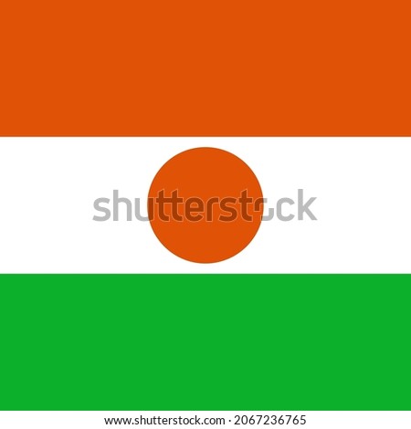 Niger Square Country Flag Icon