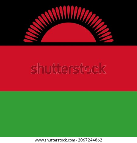 Malawi Square Country Flag Icon