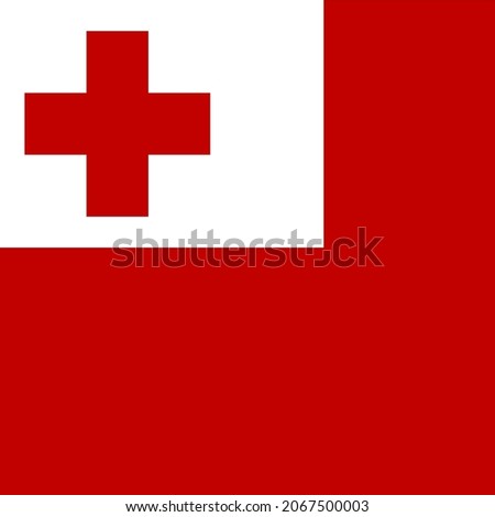 Tonga Square Country Flag Icon