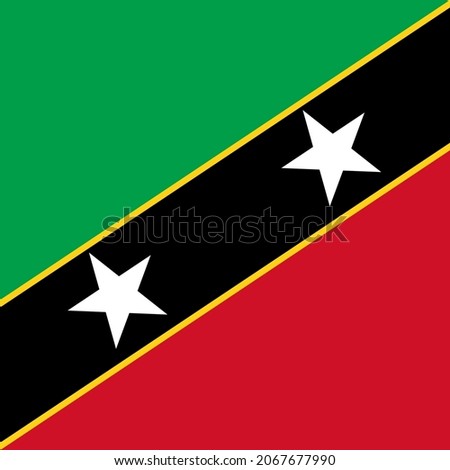 Saint Kitts and Nevis Square Country Flag Icon