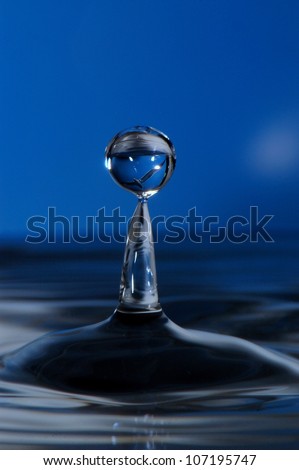 water droplet with a blue background, and seabird image inside droplet