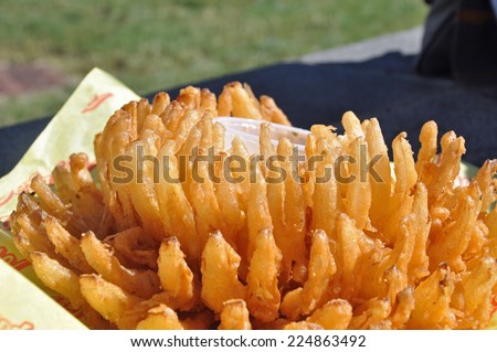 Blooming Onion, a deep fried snack food offered at the North Carolina State Fair in Raleigh