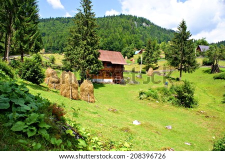 Beautiful nature in an eco friendly romanian village in  the Carpathians Mountains
