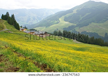 SAALBACH-HINTERGLEMM, AUSTRIA - JULY 2,2014. Austrian landscape ,meadow in the Alps Mountains.