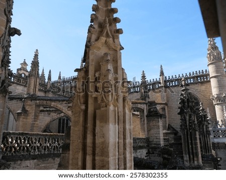 Similar – Image, Stock Photo Struts to the light Light