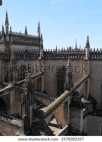 Similar – Image, Stock Photo Struts to the light Light