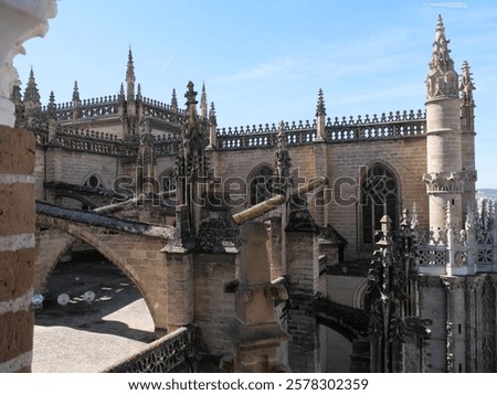Similar – Image, Stock Photo Struts to the light Light