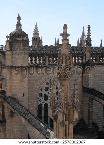 Similar – Image, Stock Photo Struts to the light Light