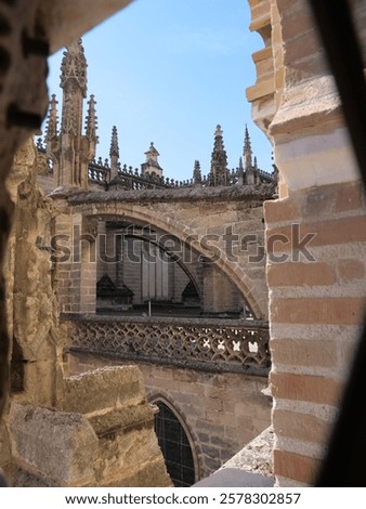 Similar – Image, Stock Photo Struts to the light Light