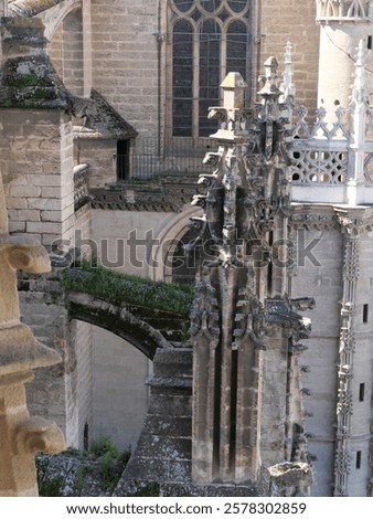 Similar – Image, Stock Photo Struts to the light Light
