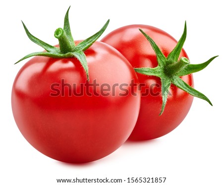 Tomato isolated on white background. Fresh red two tomato with clipping path