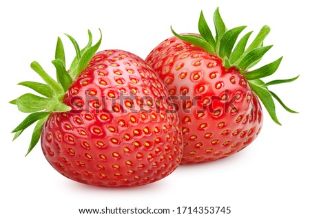Two strawberries. Fresh organic strawberry isolated on white background. Strawberry macro