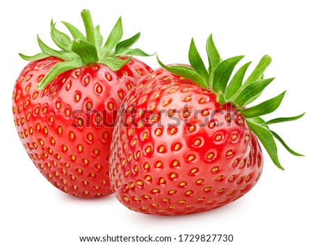 Strawberry fresh organic fruit. Two strawberries isolated on white background. Ripe fresh strawberry clipping path.
