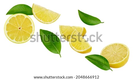 Ripe lemon slices isolated on white background. Ripe lemon with leaves clipping path. Flying lemon fruits