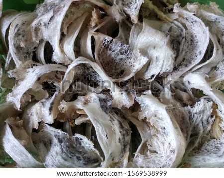 Shutterstock - PuzzlePix