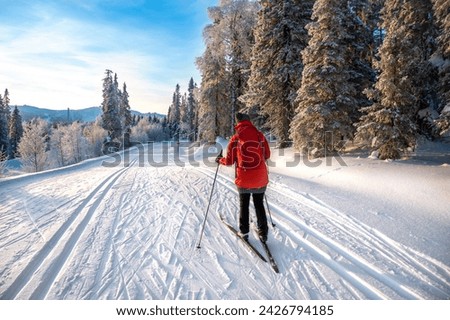 Similar – Foto Bild Langlauf / Skatingspuren im Schnee