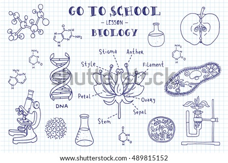 Biology. Hand sketches on the theme of biology. Note book page paper. Vector illustration.