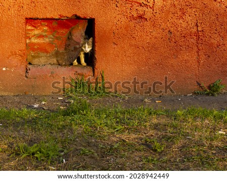 Similar – Image, Stock Photo + Lonely basement apartment