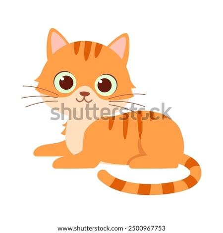 cute little cat with good quality and design