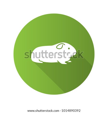 Cavy flat design long shadow glyph icon. Domestic guinea pig. Vector silhouette illustration