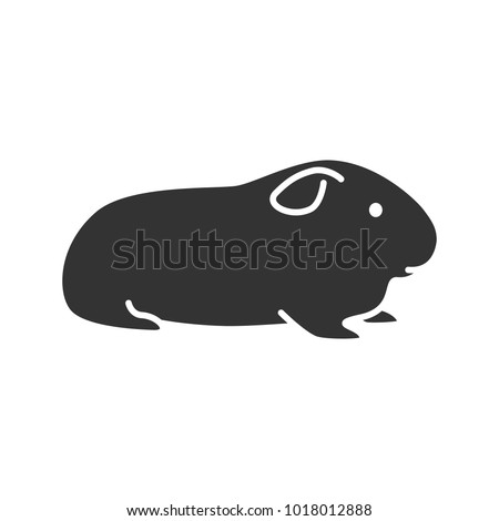 Cavy glyph icon. Domestic guinea pig. Silhouette symbol. Negative space. Vector isolated illustration