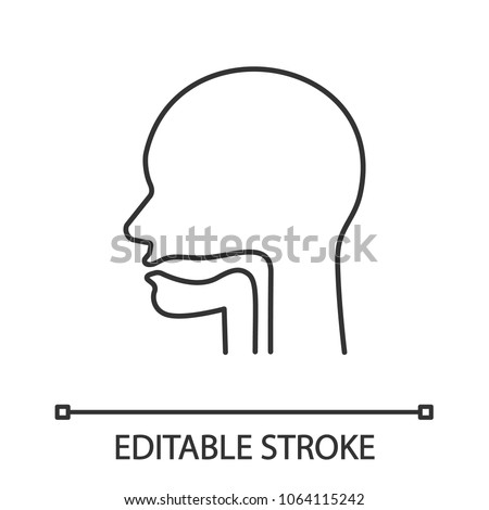 Oral cavity, pharynx and esophagus linear icon. Thin line illustration. Upper section of alimentary canal. Contour symbol. Vector isolated outline drawing. Editable stroke 商業照片 © 