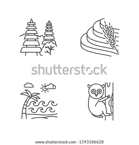 Indonesia linear icons set. Tropical country animals. Indonesian islands. Exploring exotic places. Thin line contour symbols. Isolated vector outline illustrations. Editable stroke. Perfect pixel ストックフォト © 