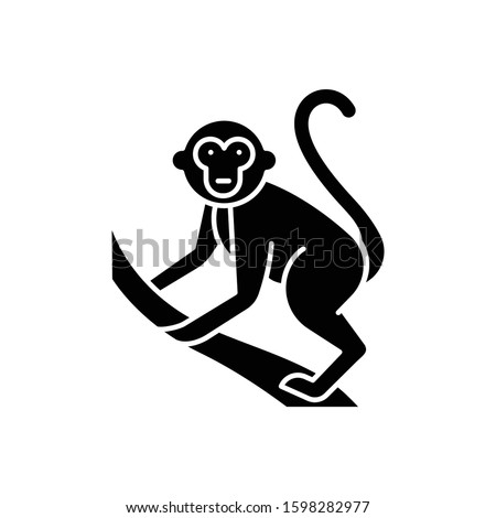 Monkey on liana glyph icon. Tropical country animal, mammal. Exploring Indonesia islands wildlife. Primate climbing. Balinese fauna. Silhouette symbol. Negative space. Vector isolated illustration