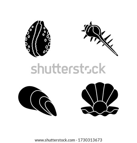 Different sea shells black glyph icons set on white space. Seashells collection, conchology silhouette symbols. Open clam with pearl, spiked conch, cowrie and cone shells vector isolated illustrations