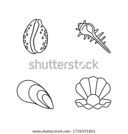 Different sea shells pixel perfect linear icons set. Customizable thin line contour symbols. Clam with pearl, spiked conch, cowrie and cone shell isolated vector outline illustrations. Editable stroke