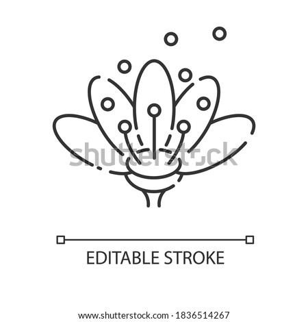 Pollen linear icon. Natural flowers reproduction. Pollination, seasonal allergy, beekeeping thin line customizable illustration. Contour symbol. Vector isolated outline drawing. Editable stroke