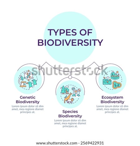 Types of biodiversity circular diagram infographic. Various ecosystems. Wildlife concepts. Data visualization with 3 options. Hierarchy chart round