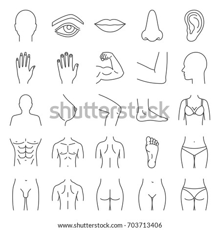 Human body parts linear icons set. Anatomy. Health care. Thin line contour symbols. Isolated vector outline illustrations