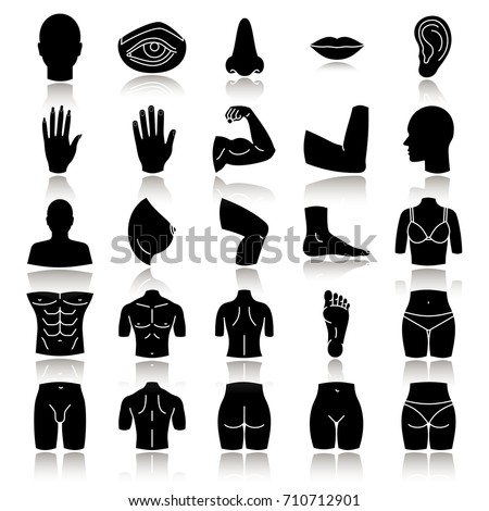 Body parts drop shadow black glyph icons set. Anatomy. Health care. Isolated vector illustrations