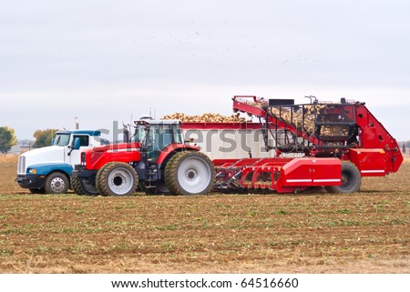 Farm equipment harvesting sugar beets and loading them into a semi-truck.