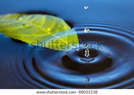 Similar – Image, Stock Photo Blue leaf with raindrops on the forest floor