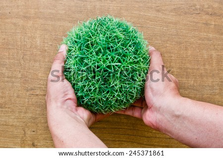 hand holding fake bush plant