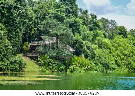 landscape of house in forest beside lake